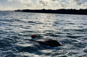 Pair without lifejackets saved by Coastguard Titirangi